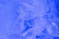 /album/wasteland/wasteland-sacok3-jpg/